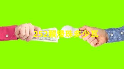 252顆燈珠多少瓦 252克等于多少公斤